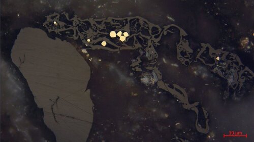 Microscope image of dispersed vitrinites in a Rotliegend sandstone of Thuringia under reflected light and oil immersion. On the left Collinite (homogeneous, structureless), on the right Telinite (with distinct cell structures). Pale yellow grains in the centre of the picture represent framboidal pyrite.