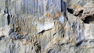 Slickensides in the Burgwenden limestone quarry