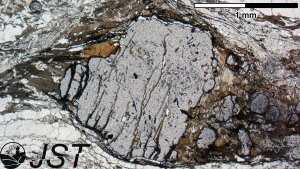 Deformierter Granat-Porphyroblast in linear polarisiertem Licht