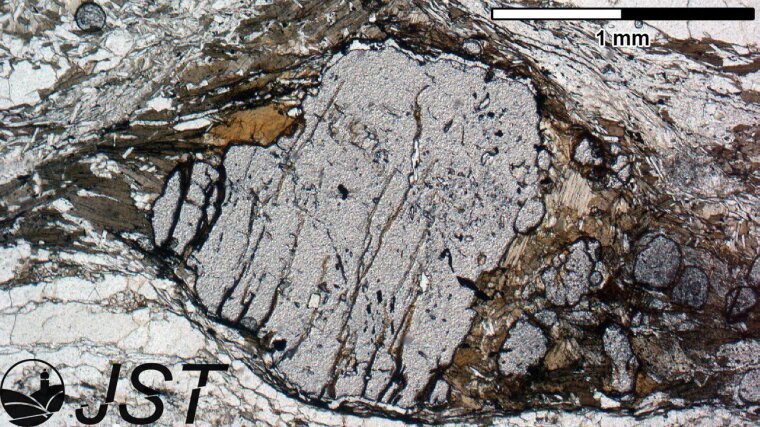 Deformed garnet porphyroblast under linear polarized light