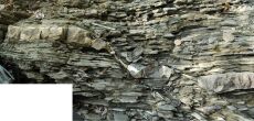Low-angle normal faults in turbiditic sandstones, Magozd, Slovenia.