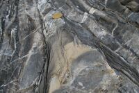 Axial plane cleavage in folded pelagic limestones. Kirit river at Prekali, northern Albania.