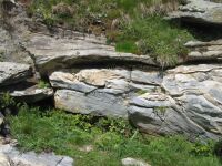 In die Aduladecke (nahe des San-Bernardino-Passes, Graubünden) eingeschuppte triassische Metasedimente zeigen Boudinage und Faltung von Dolomitmarmor (gelblich) in Kalkmarmormatrix (bläulich).