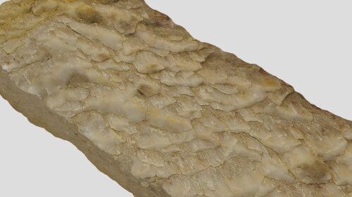 Calcite slickenfibers on a fault plane