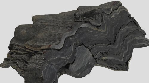 folded calcic schist with crenulation lineations